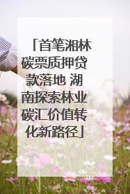 首笔湘林碳票质押贷款落地 湖南探索林业碳汇价值转化新路径